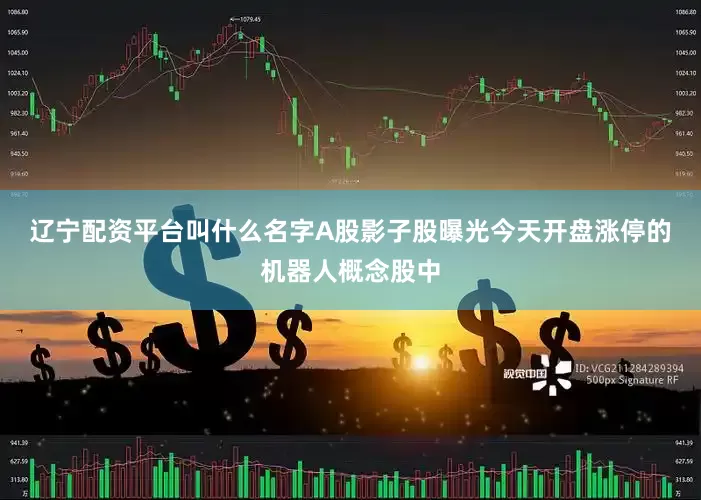 辽宁配资平台叫什么名字　　A股影子股曝光　　今天开盘涨停的机器人概念股中