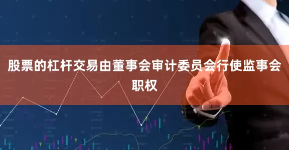 股票的杠杆交易由董事会审计委员会行使监事会职权
