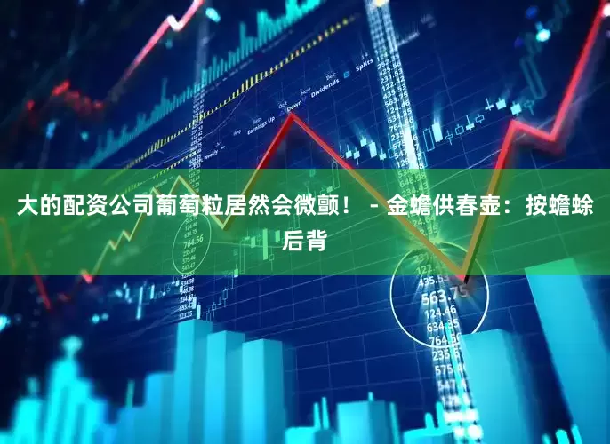 大的配资公司葡萄粒居然会微颤！ - 金蟾供春壶：按蟾蜍后背