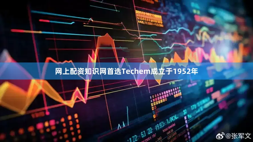 网上配资知识网首选Techem成立于1952年